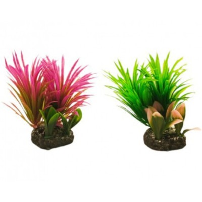 ΔΙΑΚΟΣΜΗΤΙΚΟ ΦΥΤΟ ΕΝΥΔΡΕΙΟΥ 17Χ6CM